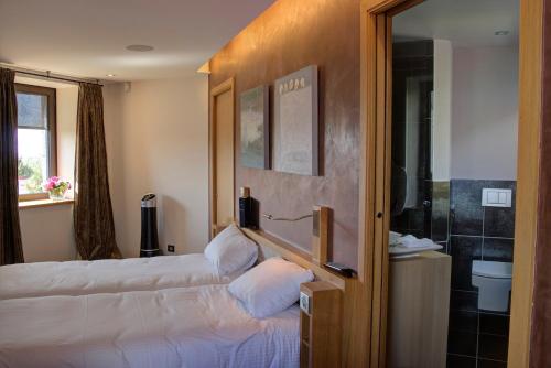 Château des Avenieres