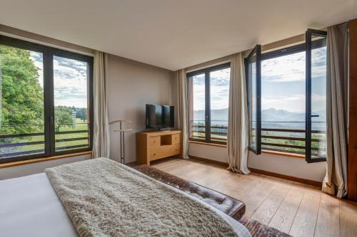 Château des Avenieres