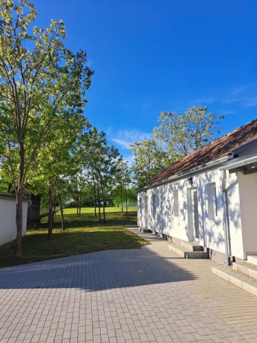 Skats, Villa-Galliet in Buzsak