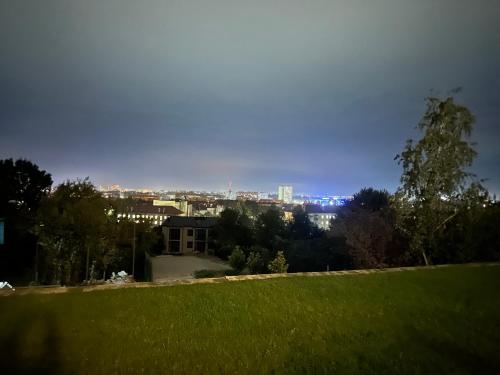 Панорамні апартаменти in Uzhgorod