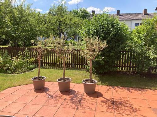 Riccardoshome in Haar