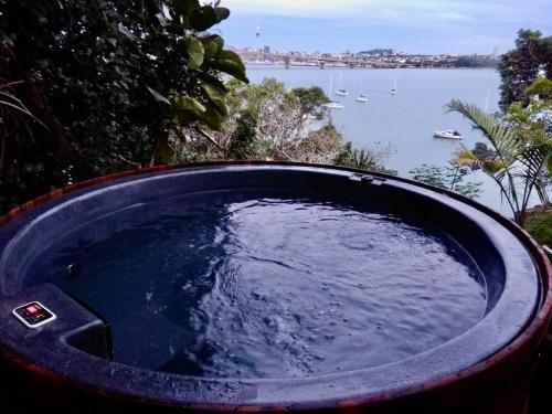 Arohanui Waterfront Villa, Auckland (fotografie 5)