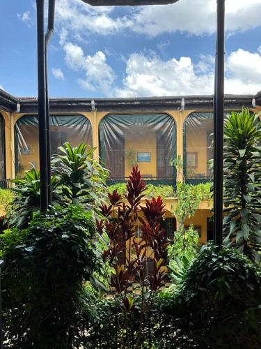Hotel Spring, Guatemala (fotografie 10)