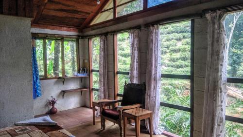 Studio with Garden View image 7