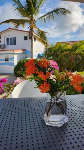 Utvendig, Ocean Teal Villa Marazul in Westpunt