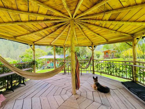 View, Cabanas con cascada privada & vistas a la montana Naturaleza total in Manizales