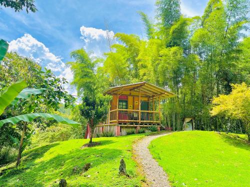 . Cabañas con cascada privada & vistas a la montaña Naturaleza total