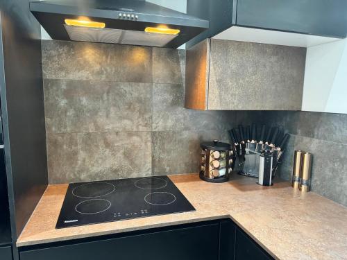 Luxury Flat in Uxbridge - image 10