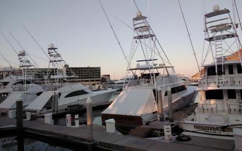 Harbour Junior suite in Cabo San Lucas, Mexico