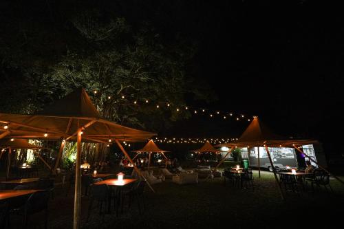 Daintree Beach Resort in Wonga