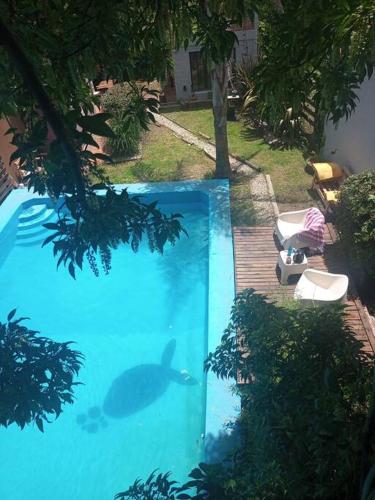 View, El Ombu in Barrio Aeroparque