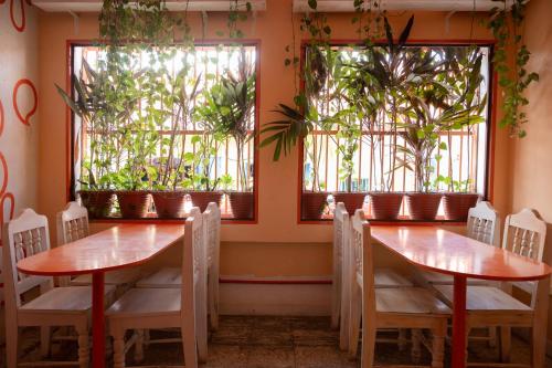 Palvelut, Macarena Hostel in Flores
