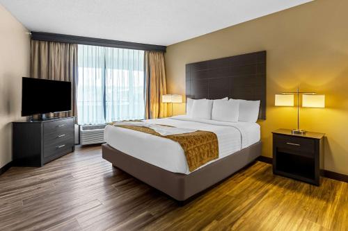 Best Western Toni Inn in Pigeon Forge, USA