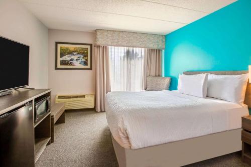 Queen Room with Roll-in Shower - Mobility Access/Non-Smoking
