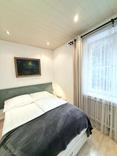 Economy Apartment with 2 bedrooms No Rhine River View  image 7