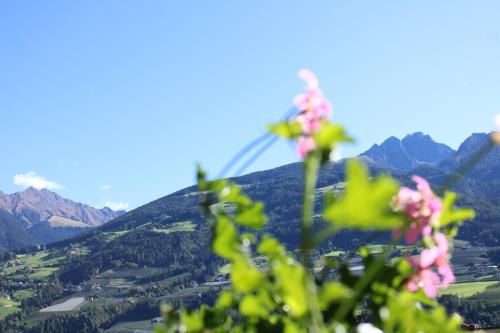 One-Bedroom Apartment with Mountain View