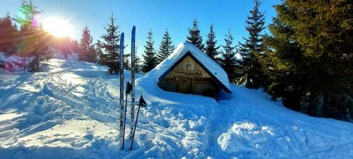 Tiny House Lavender - image 13
