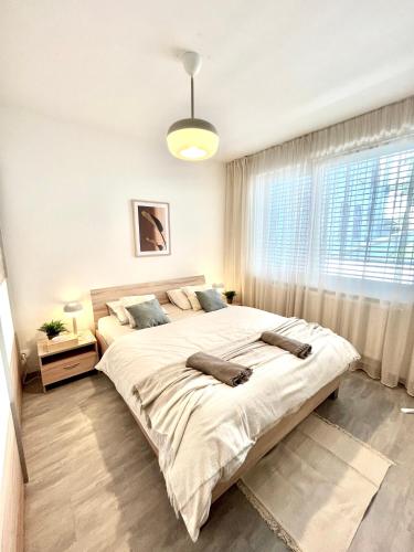 The Elite Suite downtown 2- Bedroom apt AC & garage parking, Bratislava (fotografie 5)