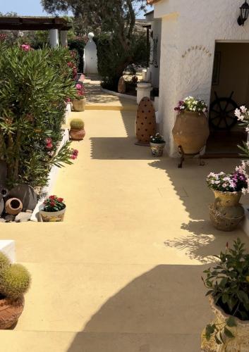 Oasi Di Casablanca - image 7