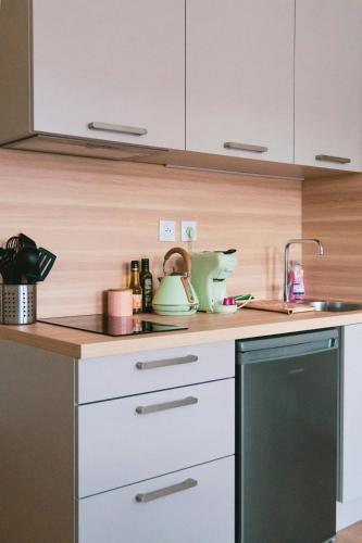 Bloom living - T1 de charme - Hyper centre - Metro, Toulouse (fotografie 7)