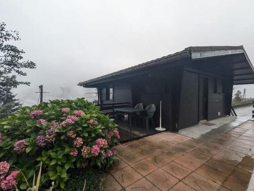 Pemandangan, Le Petit Chalet Bellevue - COSY calme parking in La Bresse