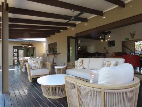 Wildheart Safari - MAIN Wildheart Safari - MAIN