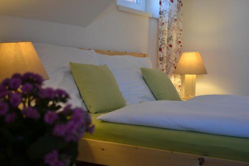 Apartment Brusinka - Kašperské Hory