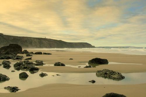 Tehidy Holiday Park - image 5