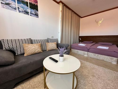 St Ivan Rilski SPA Studio in بانسكو