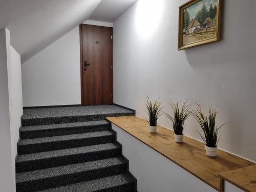 Zygi Ranch Noclegi in Ostrow Mazowiecka