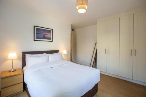 Grafton Street District Apartments - image 7