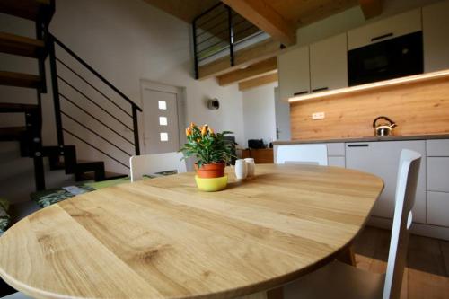 Apartmány Kanoistika Roudnice (Apartmany Kanoistika Roudnice) in Vědomice