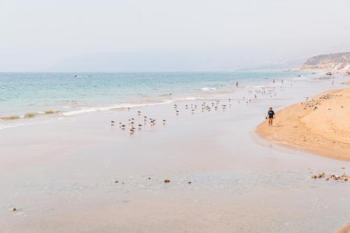 LOCA BEACH, Taghazout (zdjęcie 4)
