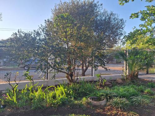 Cosy Cottage on Boom - Loadshedding Friendly Cosy Cottage on Boom - Loadshedding Friendly