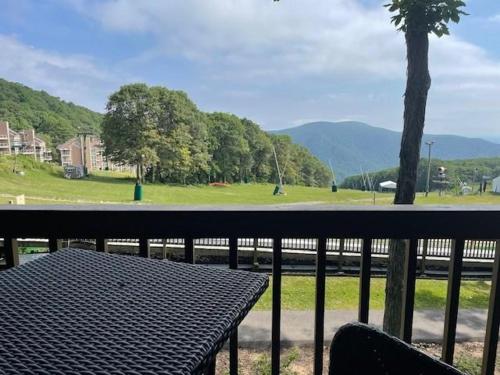 Timbers Studio 13 with Wintergreen Advantage in Wintergreen, USA