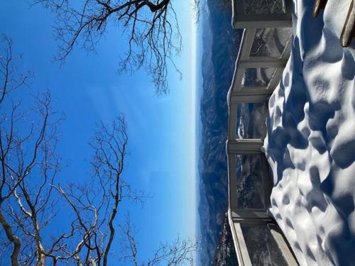Above The Clouds with Wintergreen Advantage - image 3