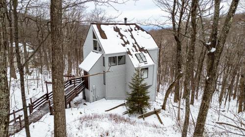Black Dog Treehouse with Wintergreen Advantage - image 9