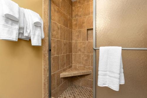 Chestnut Springs with Wintergreen Advantage - image 13