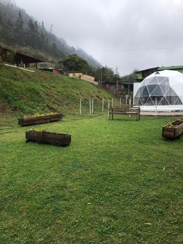 สวน, Quinta Verde Limón (Quinta Verde Limon) in บานอส เดอ อะกัว ซานตา