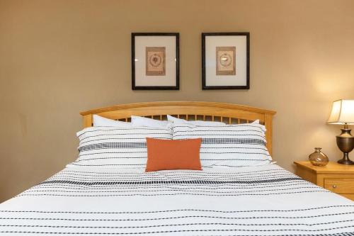 Chestnut Springs with Wintergreen Advantage - image 12
