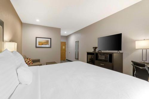 Best Western Plus Des Moines West Inn & Suites - image 14