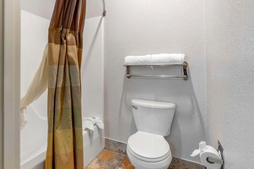 Best Western Plus Des Moines West Inn & Suites - 화장실