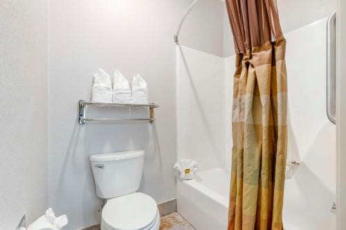 Best Western Plus Des Moines West Inn & Suites - 화장실