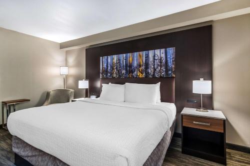 Best Western Atlanta-Marietta Ballpark Hotel - image 8