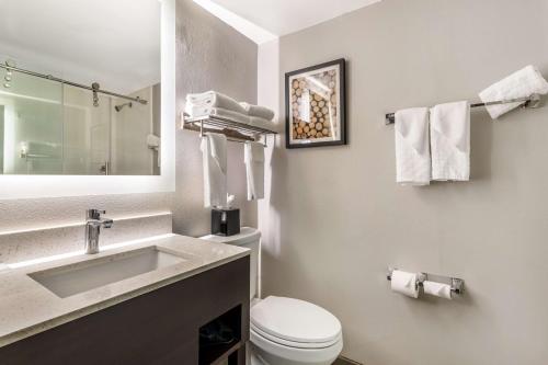 Best Western Atlanta-Marietta Ballpark Hotel - image 2
