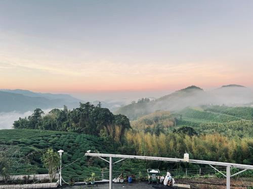 天隆民宿Tian Long Tea Farm HomeStay 天隆民宿Tian Long Tea Farm HomeStay
