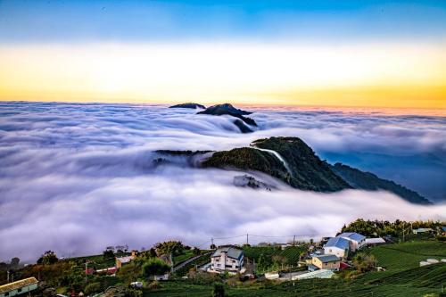 天隆民宿Tian Long Tea Farm HomeStay 天隆民宿Tian Long Tea Farm HomeStay