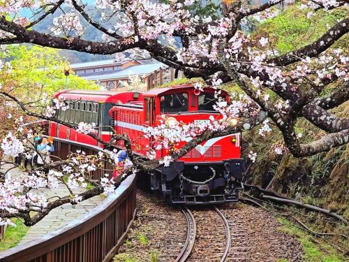 天隆民宿Tian Long Tea Farm HomeStay 天隆民宿Tian Long Tea Farm HomeStay