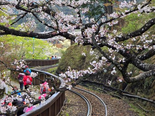 天隆民宿Tian Long Tea Farm HomeStay 天隆民宿Tian Long Tea Farm HomeStay