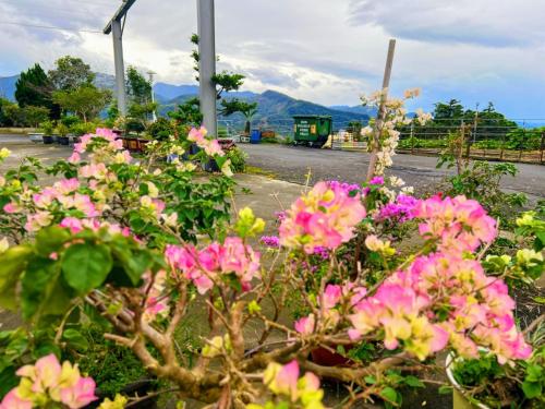 天隆民宿Tian Long Tea Farm HomeStay 天隆民宿Tian Long Tea Farm HomeStay